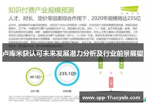 卢库米获认可未来发展潜力分析及行业前景展望