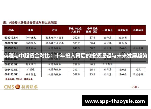 英超与中超资金对比：十年投入背后的投资逻辑与未来发展趋势