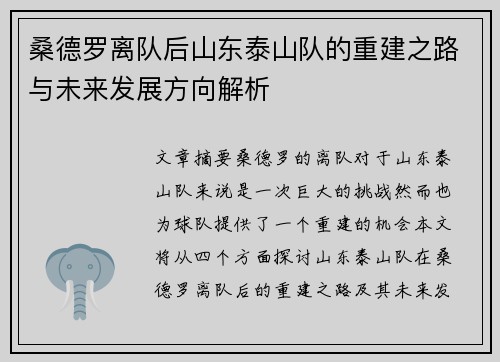 桑德罗离队后山东泰山队的重建之路与未来发展方向解析