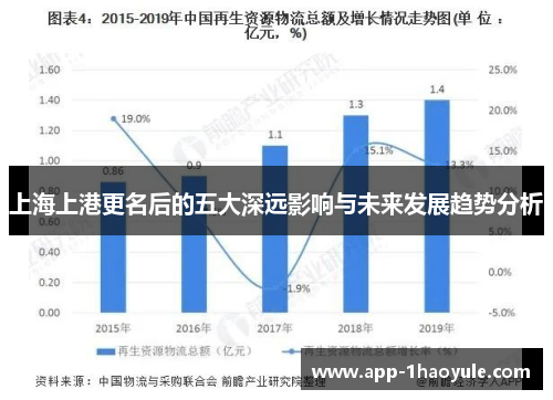 上海上港更名后的五大深远影响与未来发展趋势分析