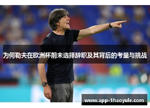 为何勒夫在欧洲杯前未选择辞职及其背后的考量与挑战