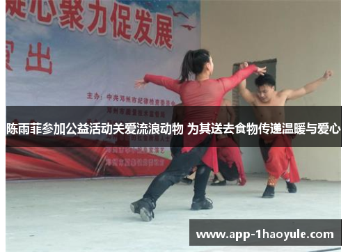 陈雨菲参加公益活动关爱流浪动物 为其送去食物传递温暖与爱心