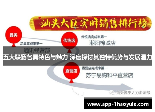 五大联赛各具特色与魅力 深度探讨其独特优势与发展潜力